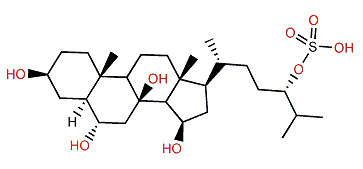 (24S)-5a-Cholestane-3b,6a,8,15b,24-pentol 24-sulfate